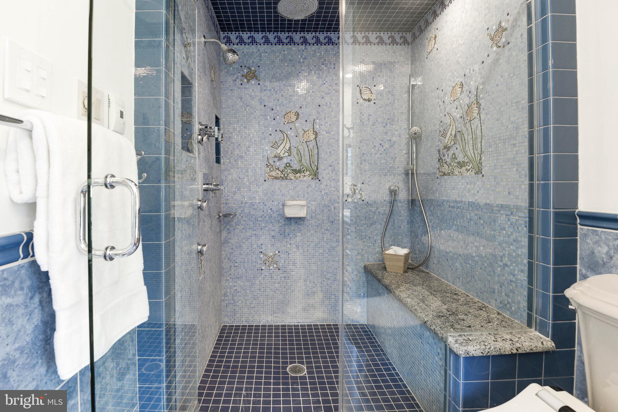 11805 Blue Spruce Road Reston, VA 20191 - Photo 45 of 74 a bathroom with a granite countertop shower