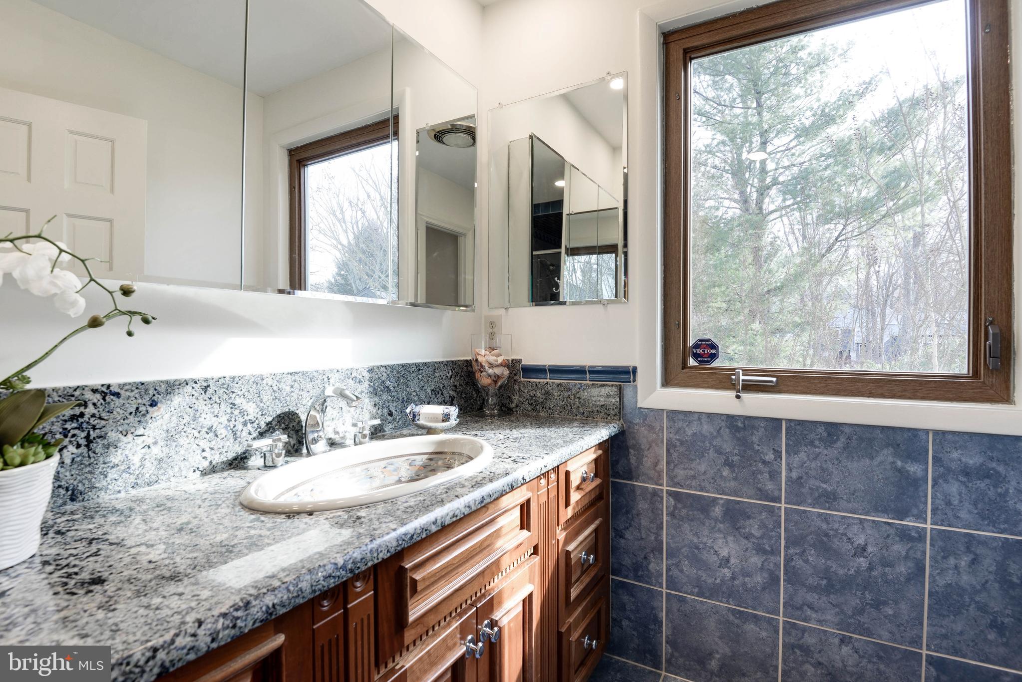 11805 Blue Spruce Road Reston, VA 20191 - Photo 46 of 74 a bathroom with a granite countertop sink and a mirror