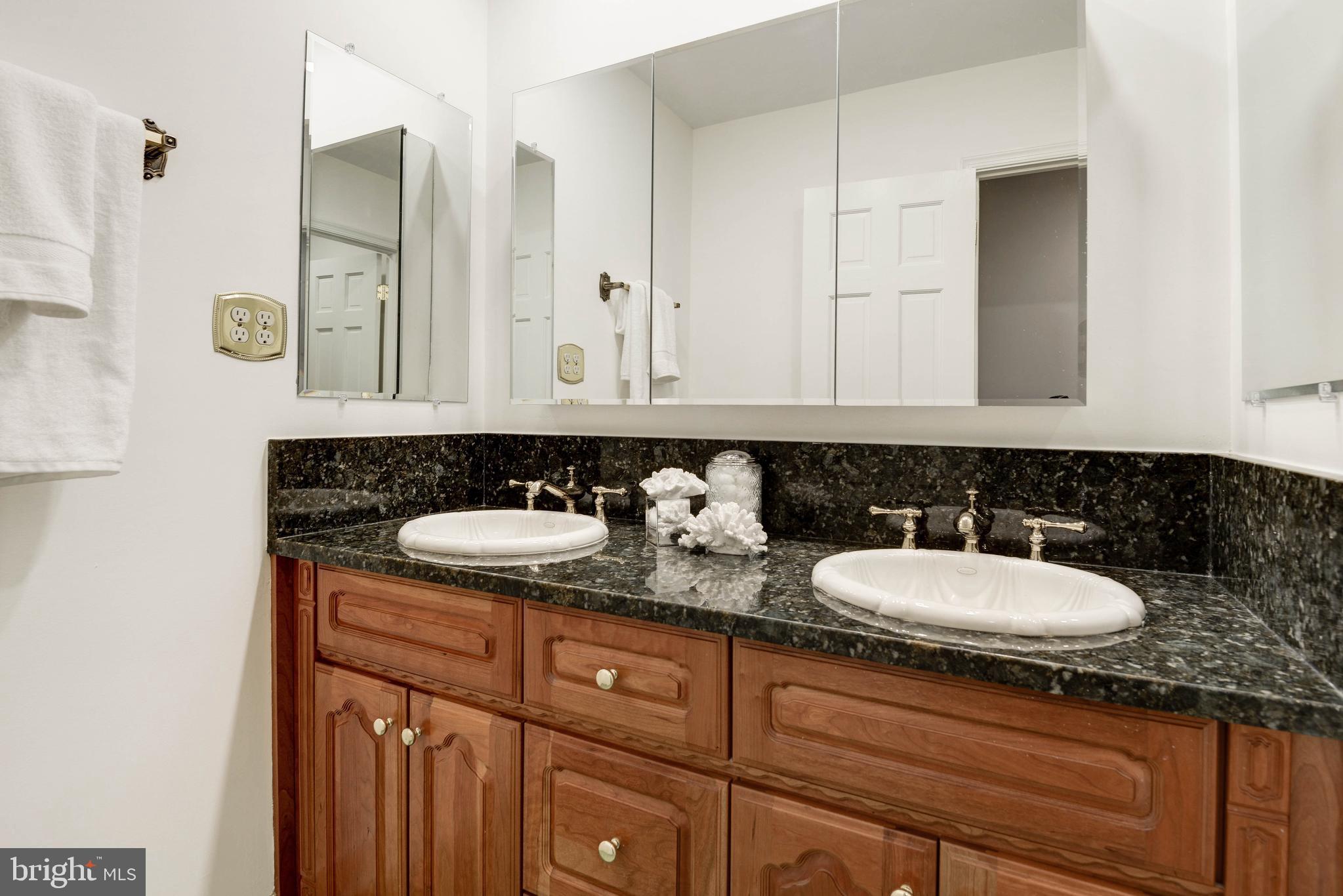 11805 Blue Spruce Road Reston, VA 20191 - Photo 47 of 74 a bathroom with a sink and a mirror