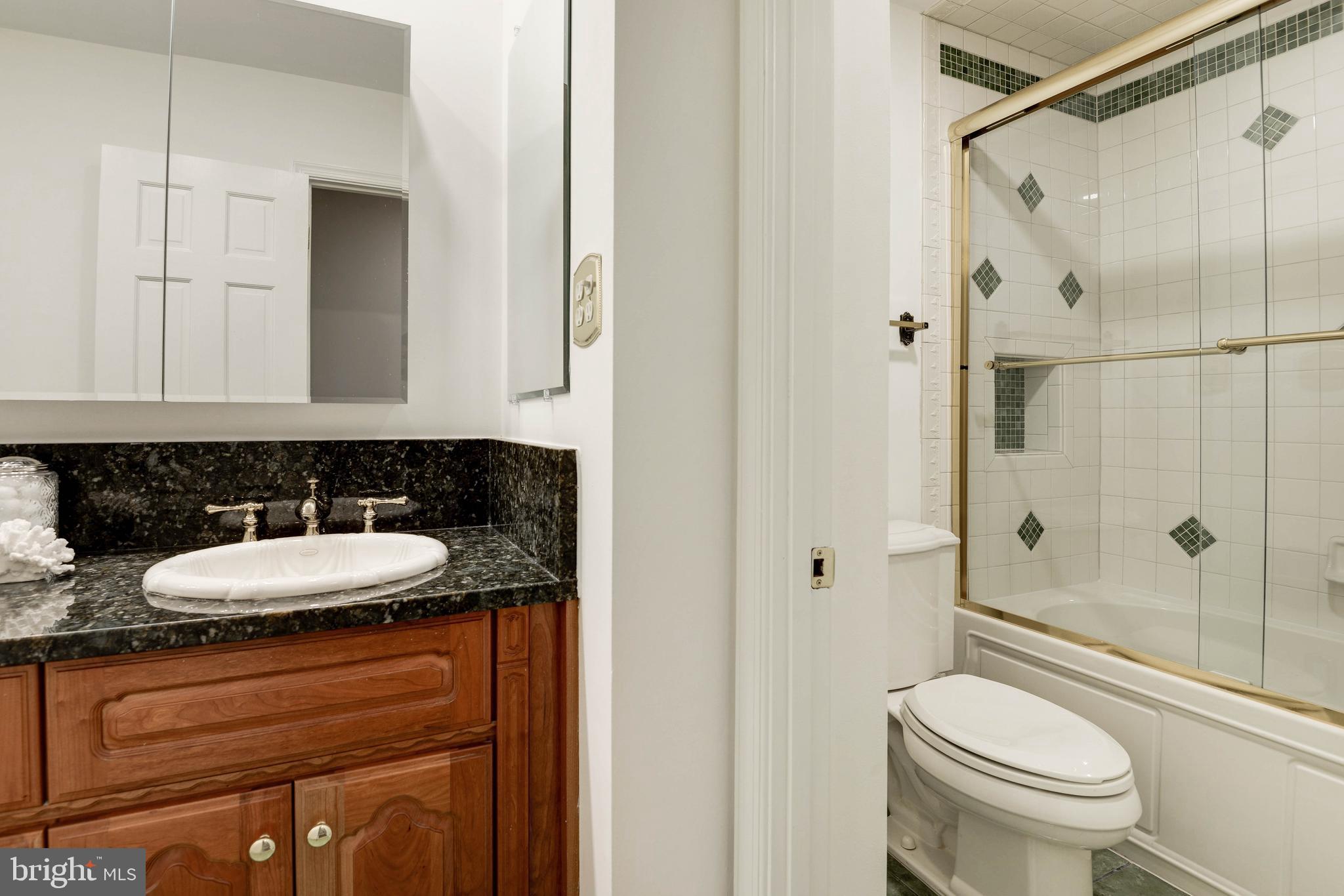 11805 Blue Spruce Road Reston, VA 20191 - Photo 48 of 74