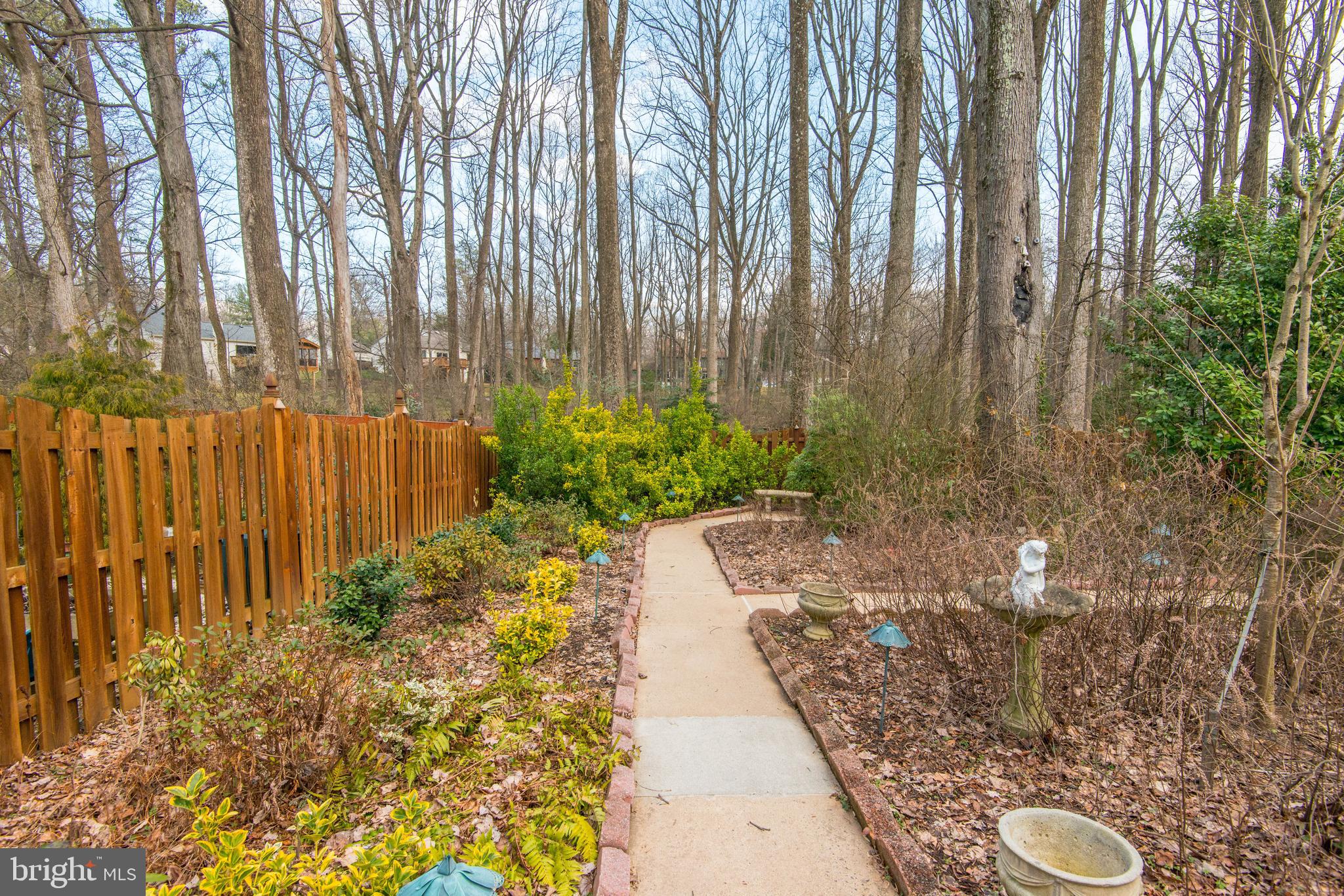 11805 Blue Spruce Road Reston, VA 20191 - Photo 68 of 74 a view of a backyard with pathway