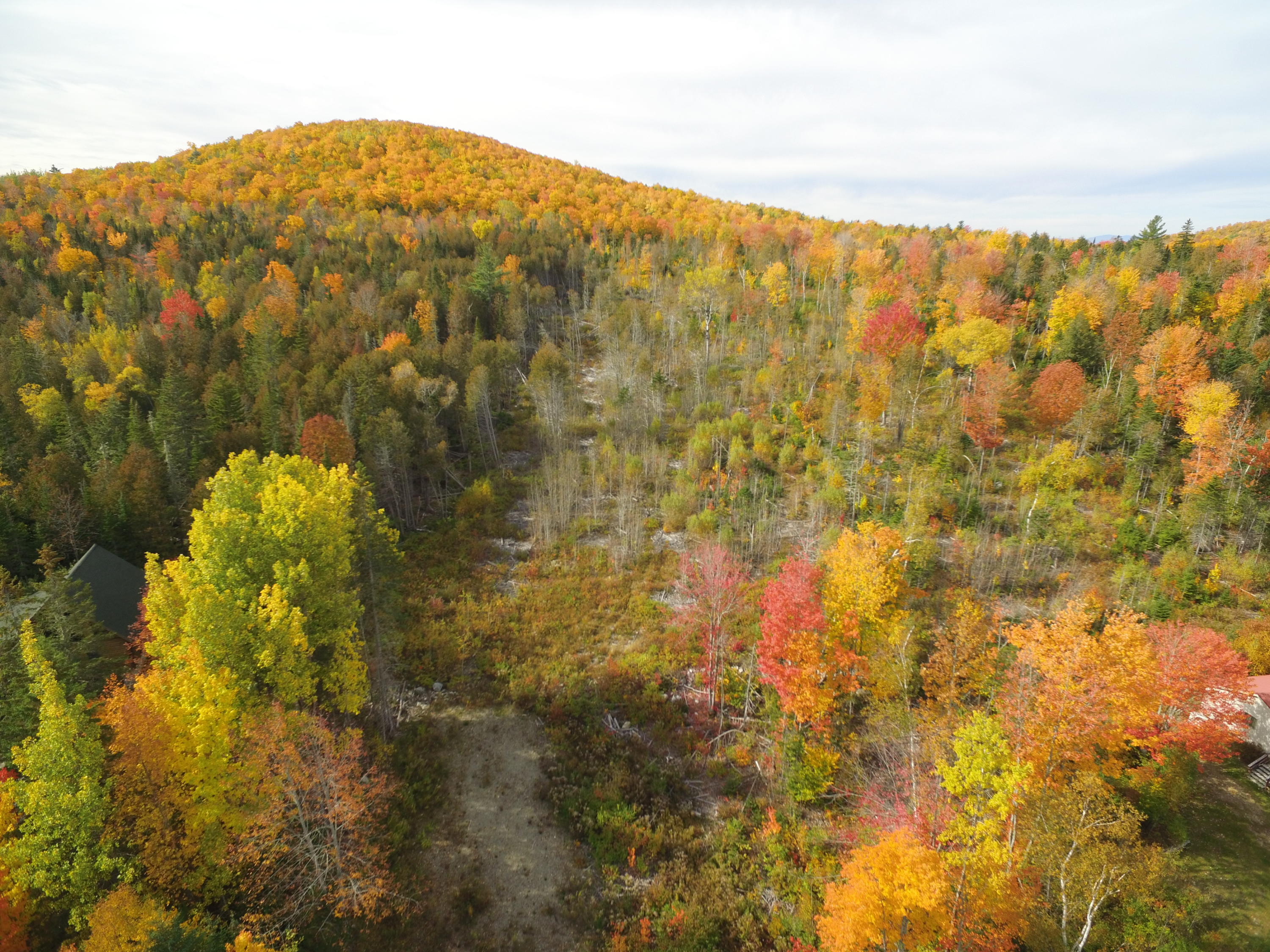 53 Map Road Lincoln, ME 04457 - Photo 5 of 10 DJI_0224