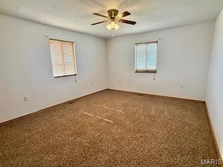 16328 Stolletown Road Carlyle, IL 62231 - Photo 38 of 48