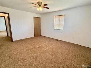 16328 Stolletown Road Carlyle, IL 62231 - Photo 39 of 48