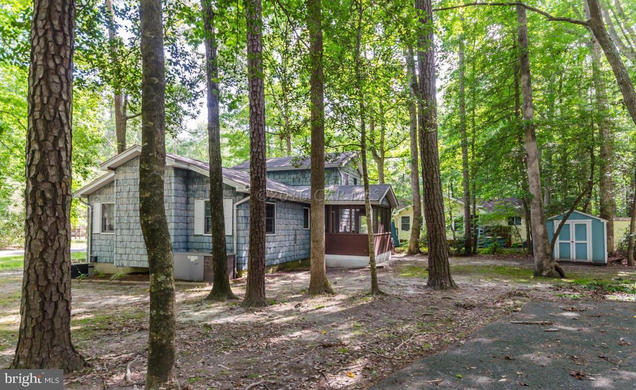 13 Capetown Road Ocean Pines, MD 21811 - Photo 3 of 46 a view of a house with large tree and a forest