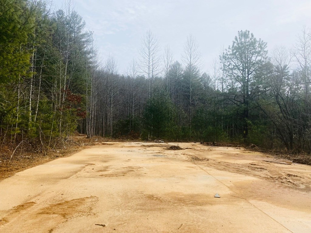 0 Flea Mountain Road Murphy, NC 28906 - Photo 16 of 54 Quonset Pad