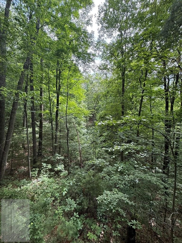 0 Fritz Run Road Ballard, WV 24918 - Photo 7 of 13 Gallery Image 7
