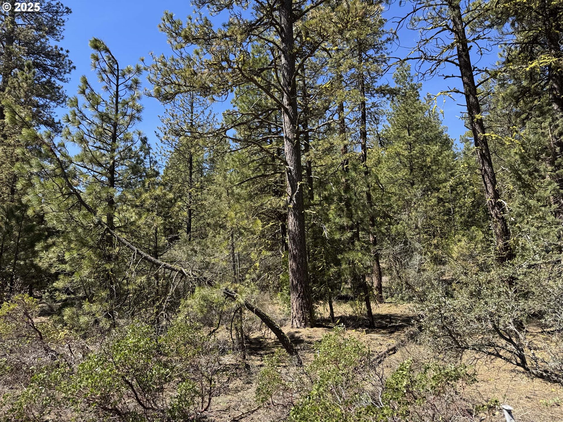 Horned Owl Lane Bonanza, OR 97623 - Photo 23 of 44