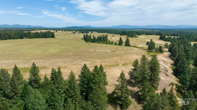 $340,000 | 1605 Jasmine Lane, Weippe, ID 83553