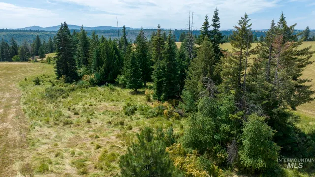 $340,000 | 1605 Jasmine Lane, Weippe, ID 83553