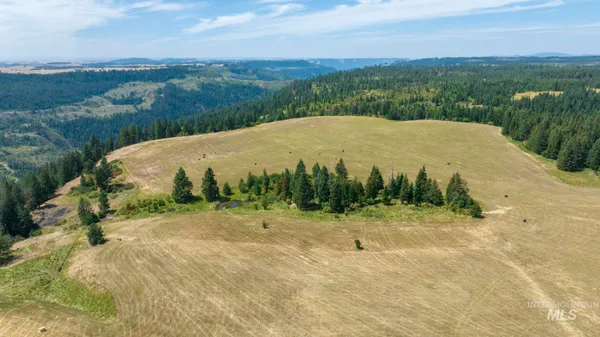 $340,000 | 1605 Jasmine Lane, Weippe, ID 83553