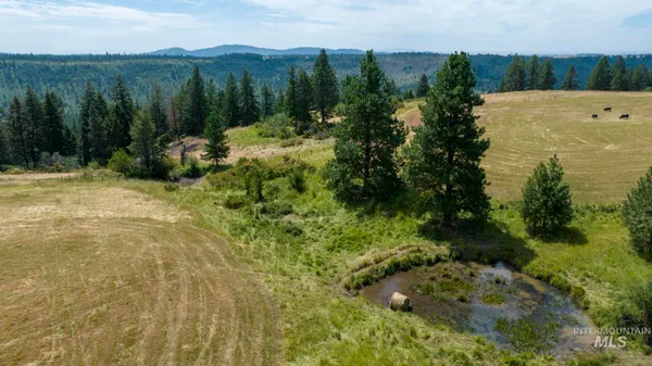 $340,000 | 1605 Jasmine Lane, Weippe, ID 83553