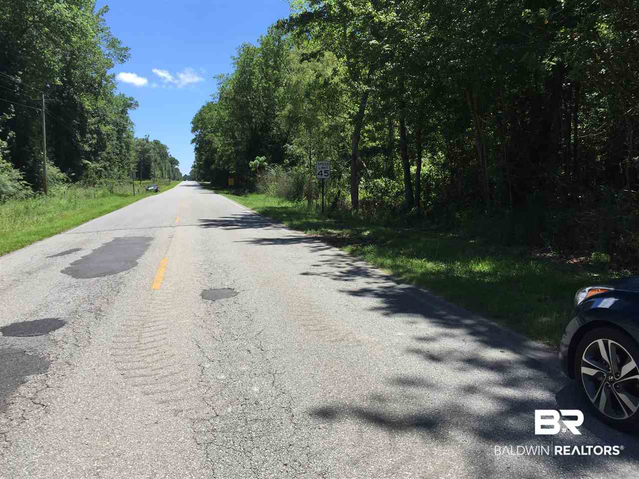 0 Main Street Elberta, AL 36530 - Photo 1 of 3