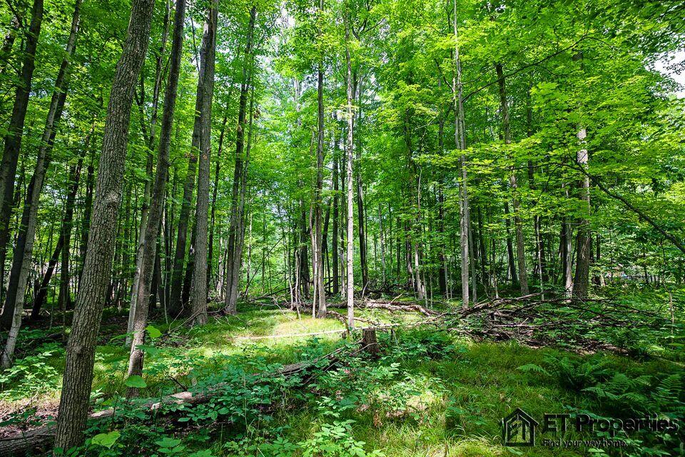 8371 14 Mile Road Northeast Cedar Springs, MI 49319 - Photo 4 of 8 5