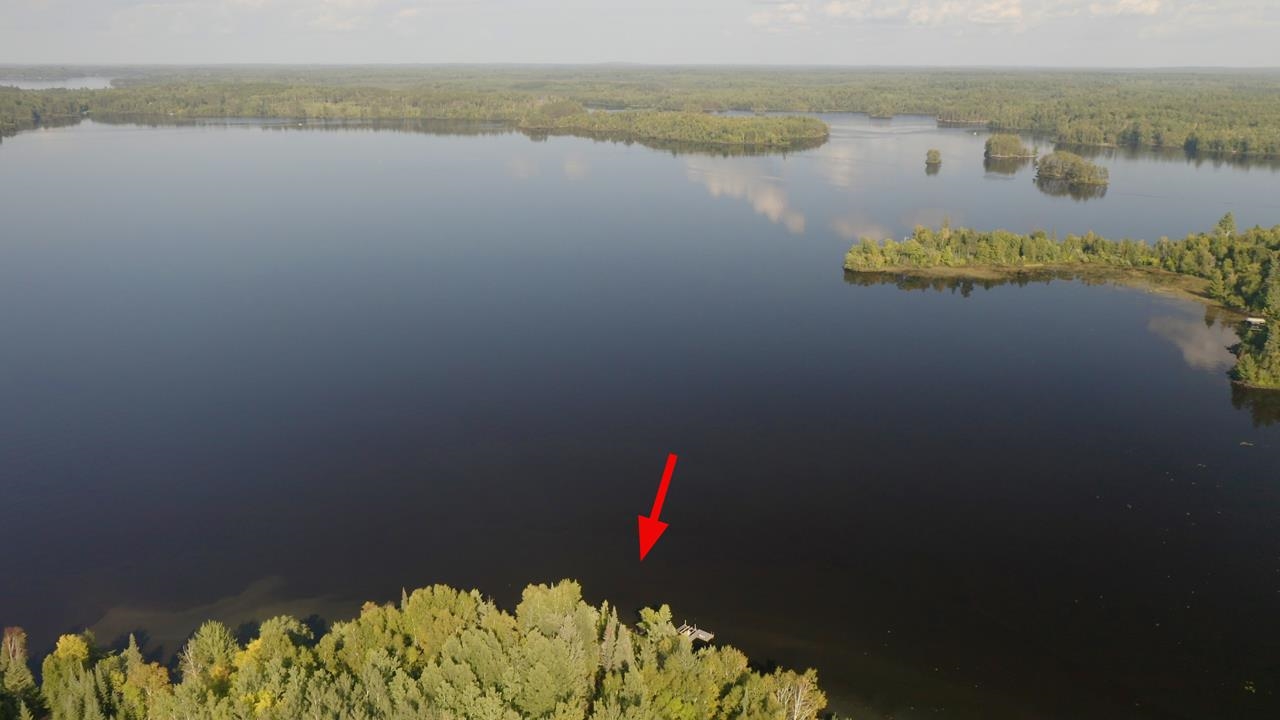 1356 Southwest Shores Trail Ely, MN 55731 - Photo 4 of 22