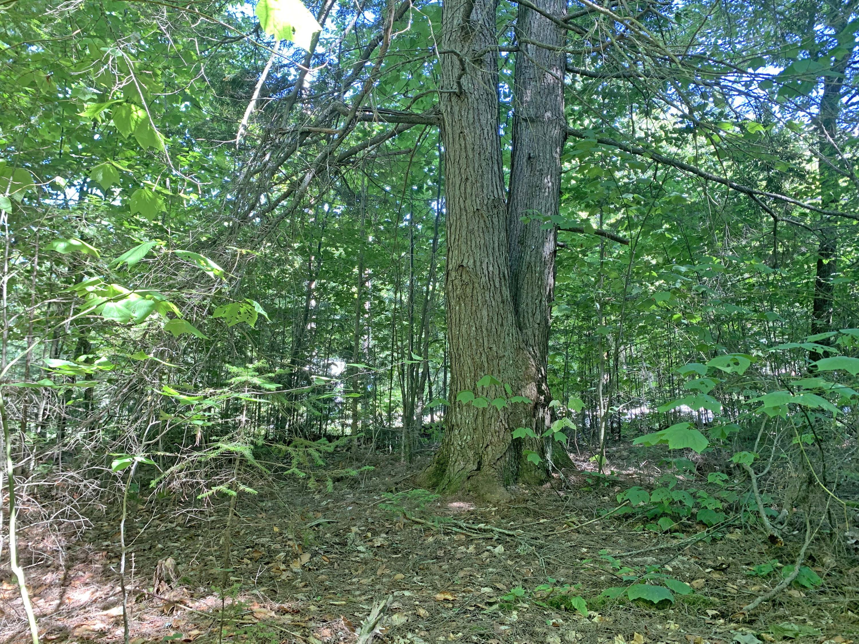 Lot 4-10 Nicolin Road Ellsworth, ME 04605 - Photo 5 of 6 1e