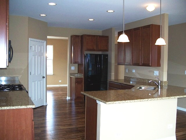 2694 Reedgrass Way Wauconda, IL 60084 - Photo 2 of 12 a kitchen with granite countertop a refrigerator a sink and a stove