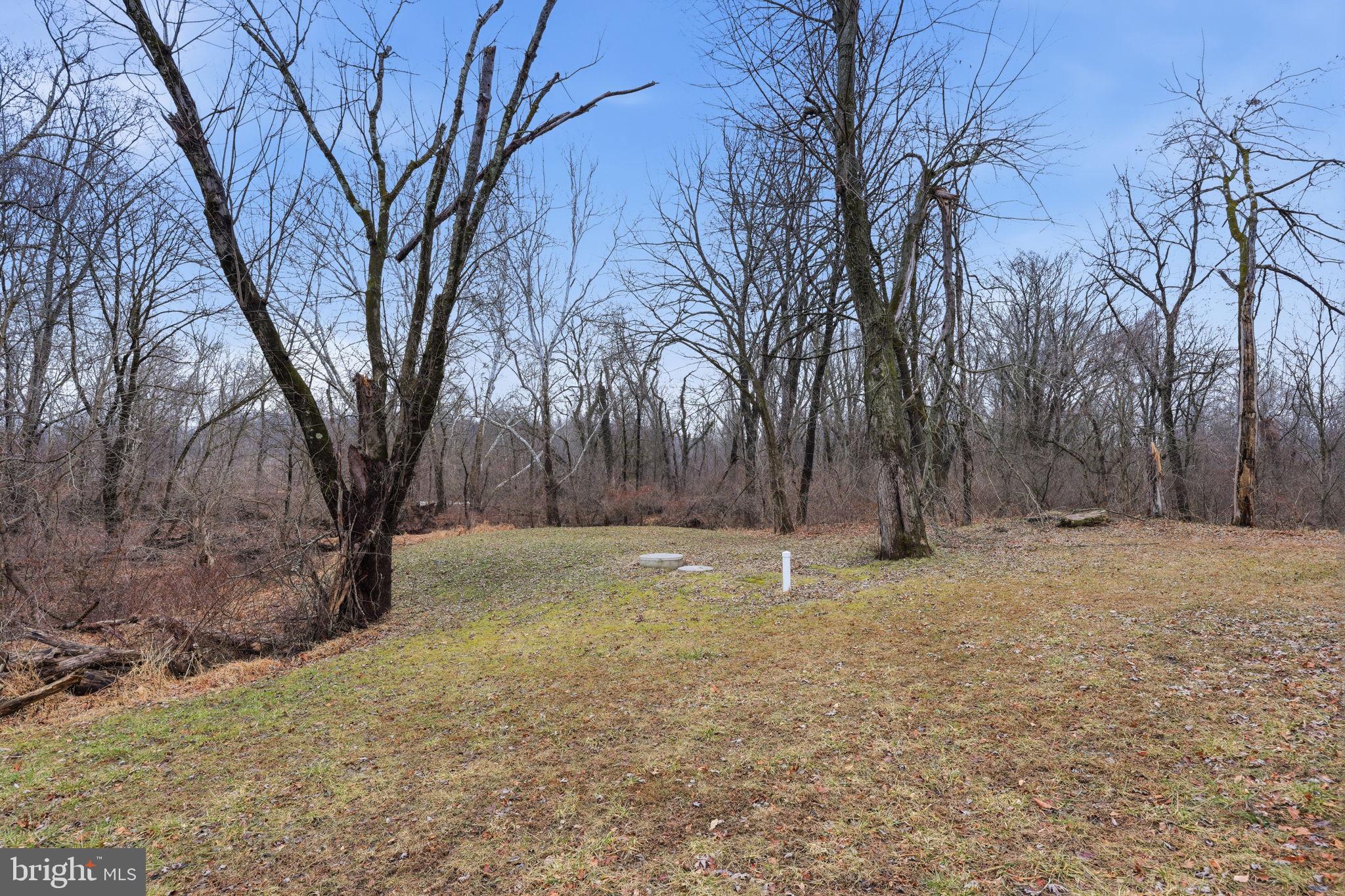 588 Almshouse Road Doylestown, PA 18901 - Photo 31 of 31 a backyard of a house with large trees