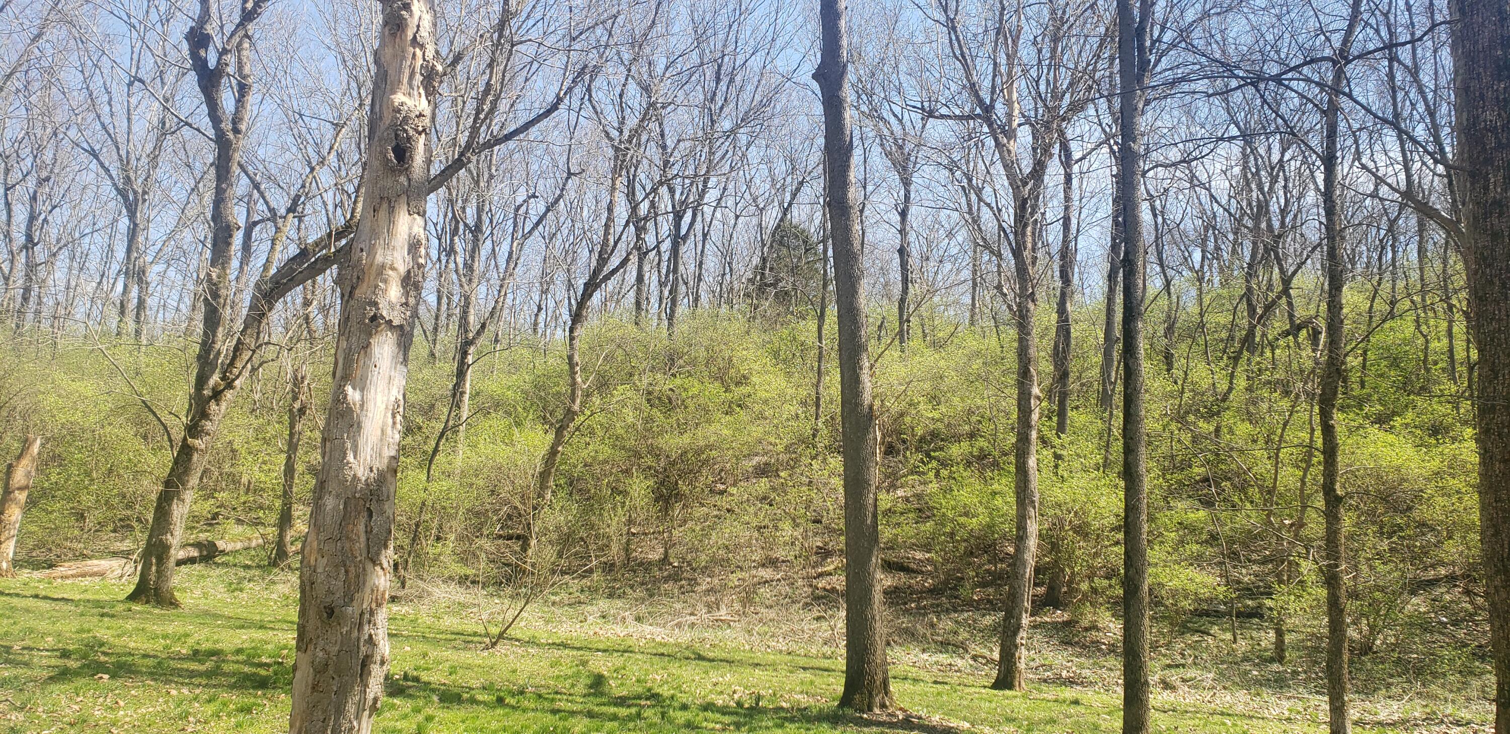 133 Cemetery Road Cynthiana, KY 41031 - Photo 8 of 15 20240317_133657