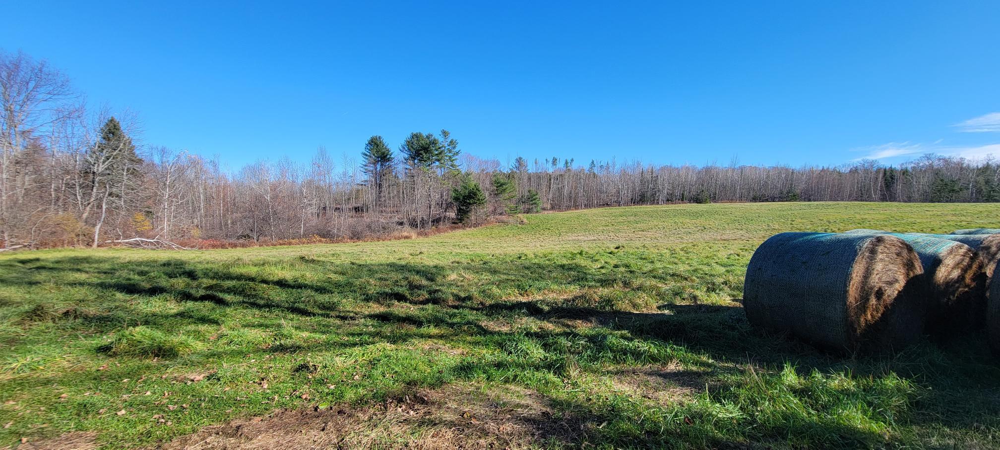 25-22 Back Troy Road Troy, ME 04987 - Photo 5 of 43 Field 2