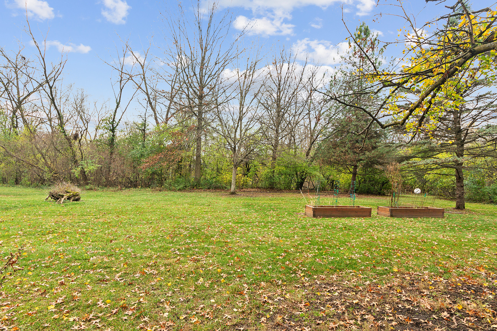 71 Graymoor Lane Olympia Fields, IL 60461 - Photo 33 of 36 a yard with lots of green space and trees