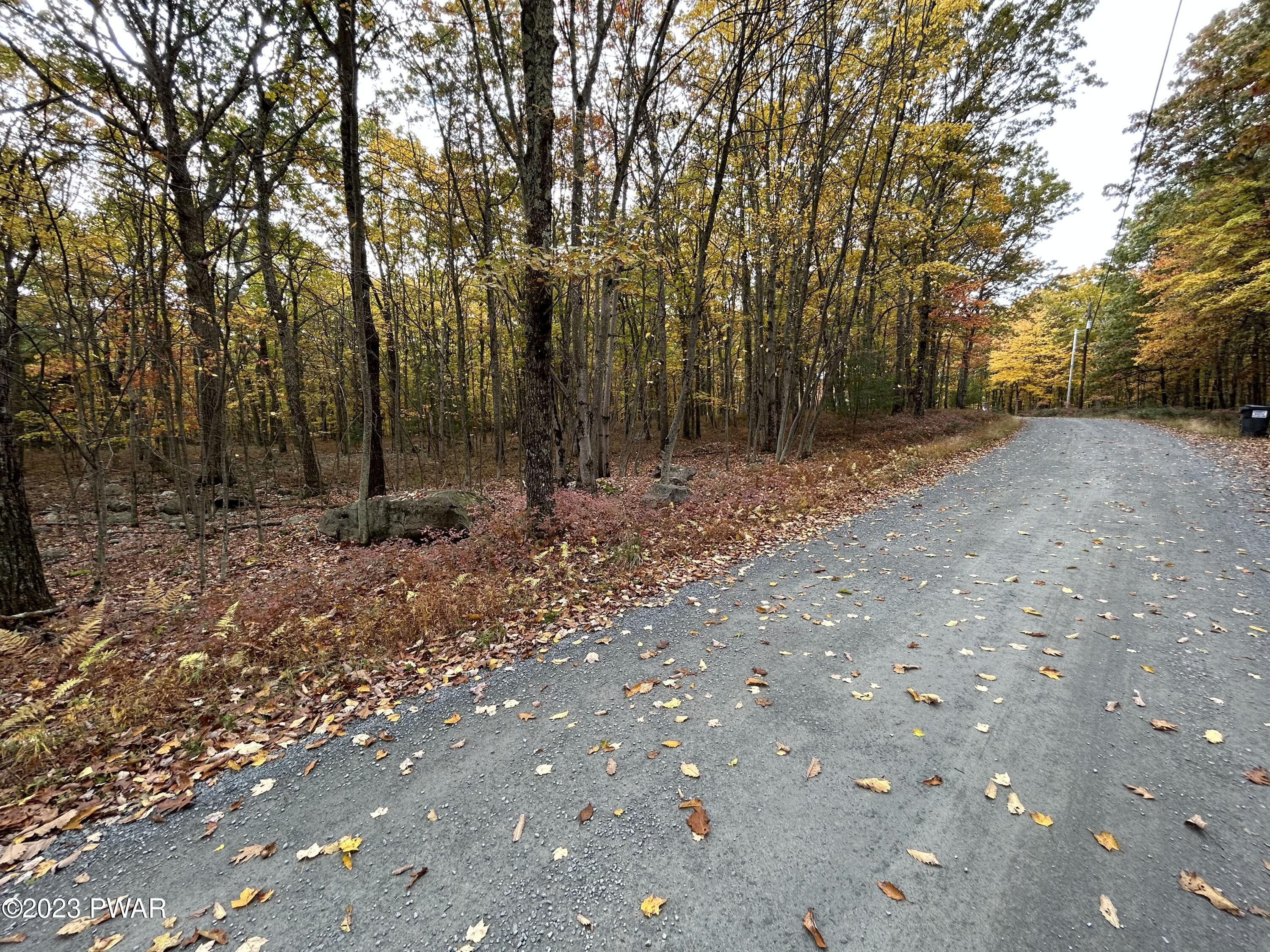 Lot 26 Timber Ridge Drive Hawley, PA 18428 - Photo 3 of 18