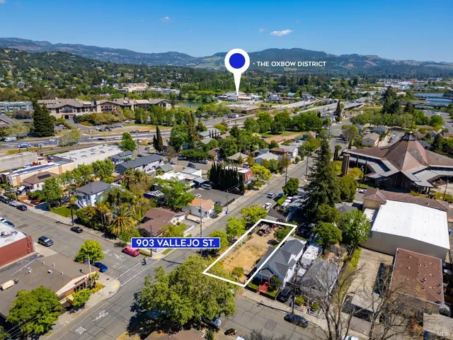 a view of a yard with plants