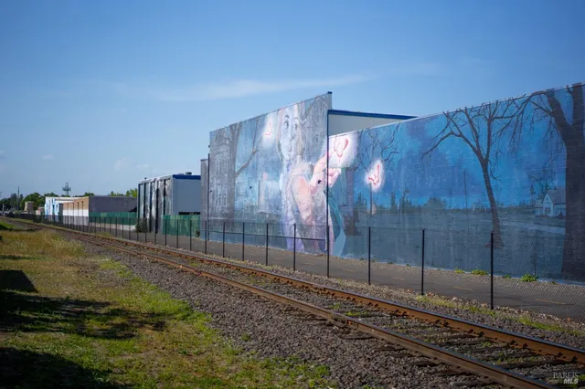 a view of a pathway of a park