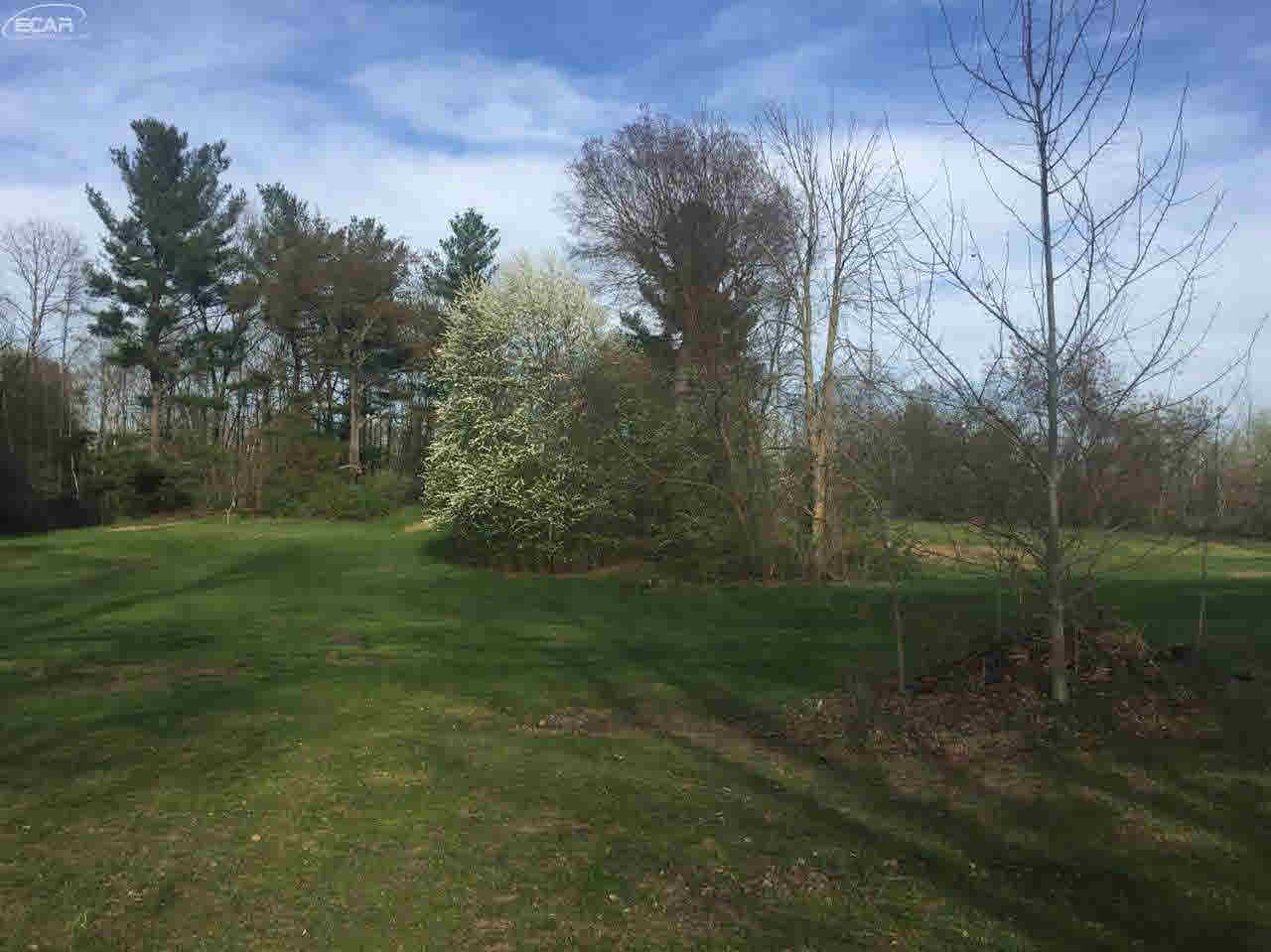 10121 Currier Road Millington, MI 48746 - Photo 25 of 27 21287435-24.JPG
