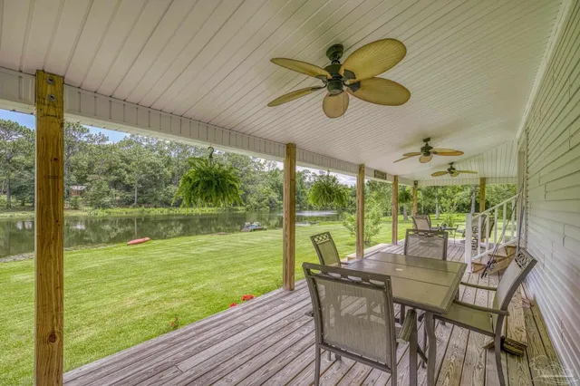 a view of a field with a tree