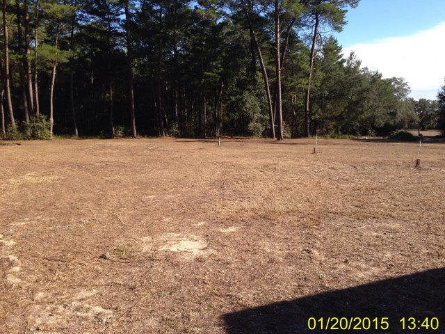 489 Site C-6 Road Freeport, FL 32439 - Photo 2 of 4 Gallery Image 2