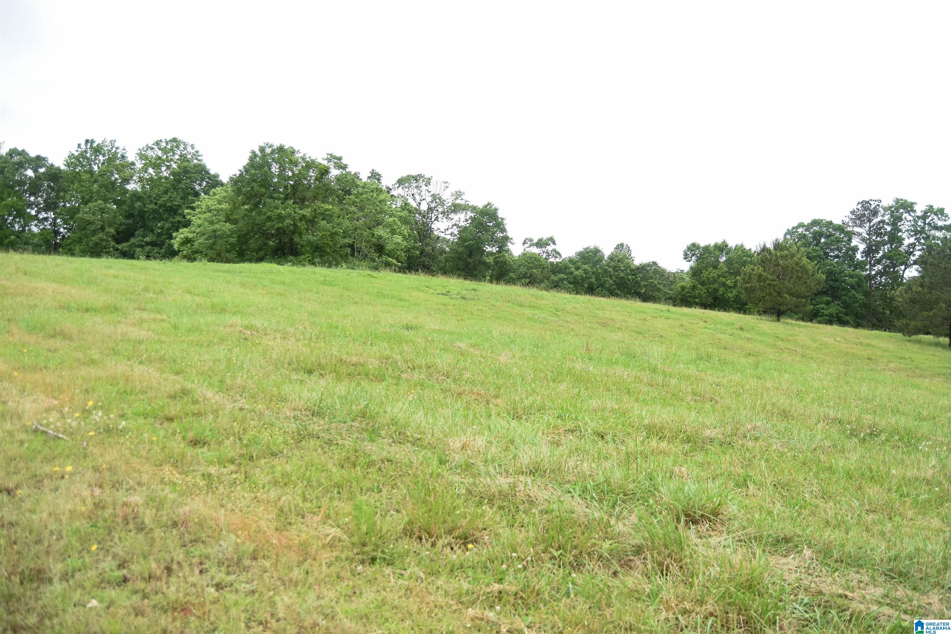 2488 Louina Road Roanoke, AL 36274 - Photo 69 of 97