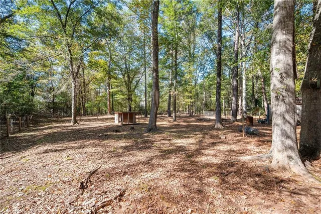 a view of backyard with tree