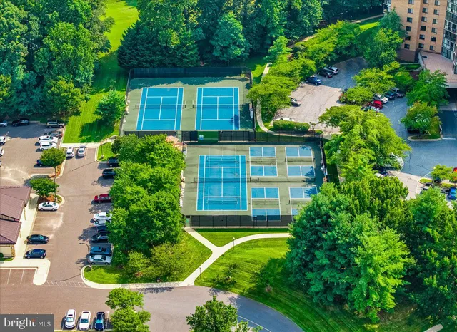 a view of a bunch of flowers