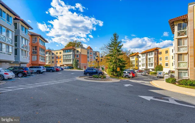 a view of a park with entertaining space