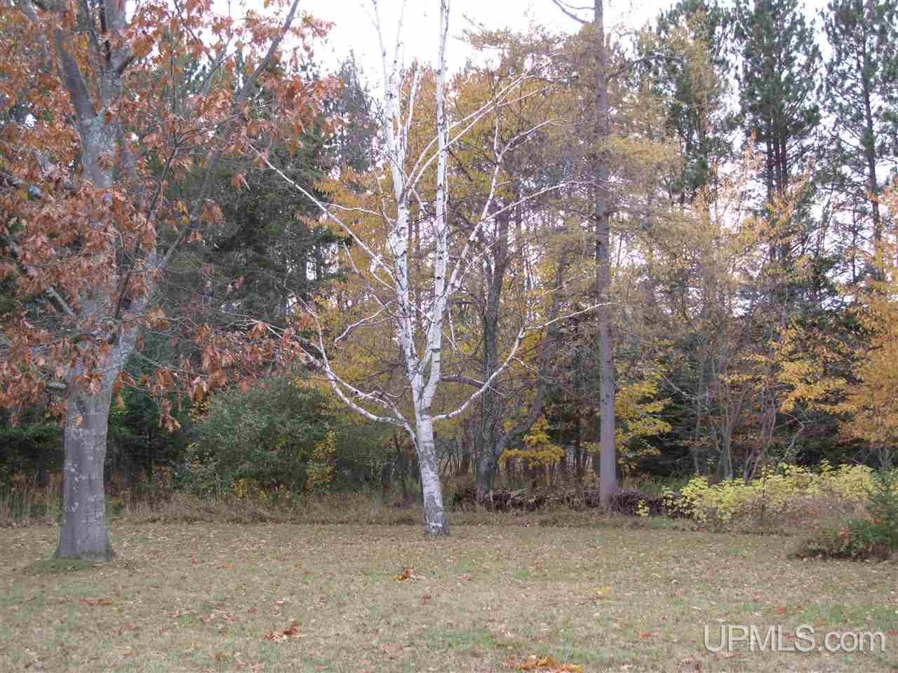 21851 Ridge Road Grand Marais, MI 49839 - Photo 16 of 29