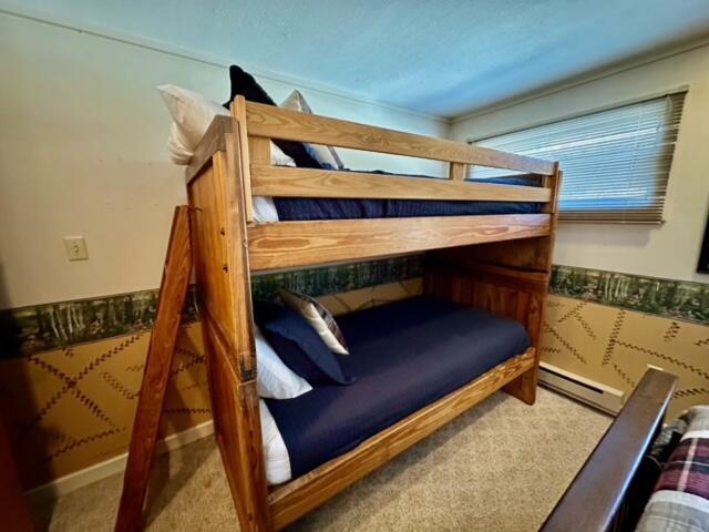 36 Powderidge Road Snowshoe, WV 26209 - Photo 28 of 34 Gallery Image 28
