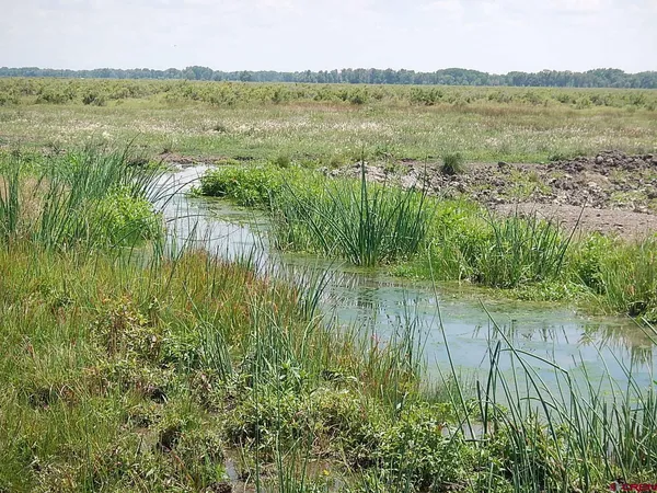 a view of lake with green space