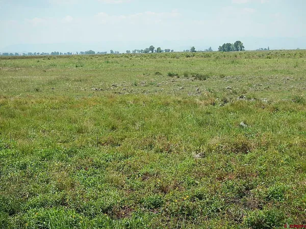 a view of a large green field