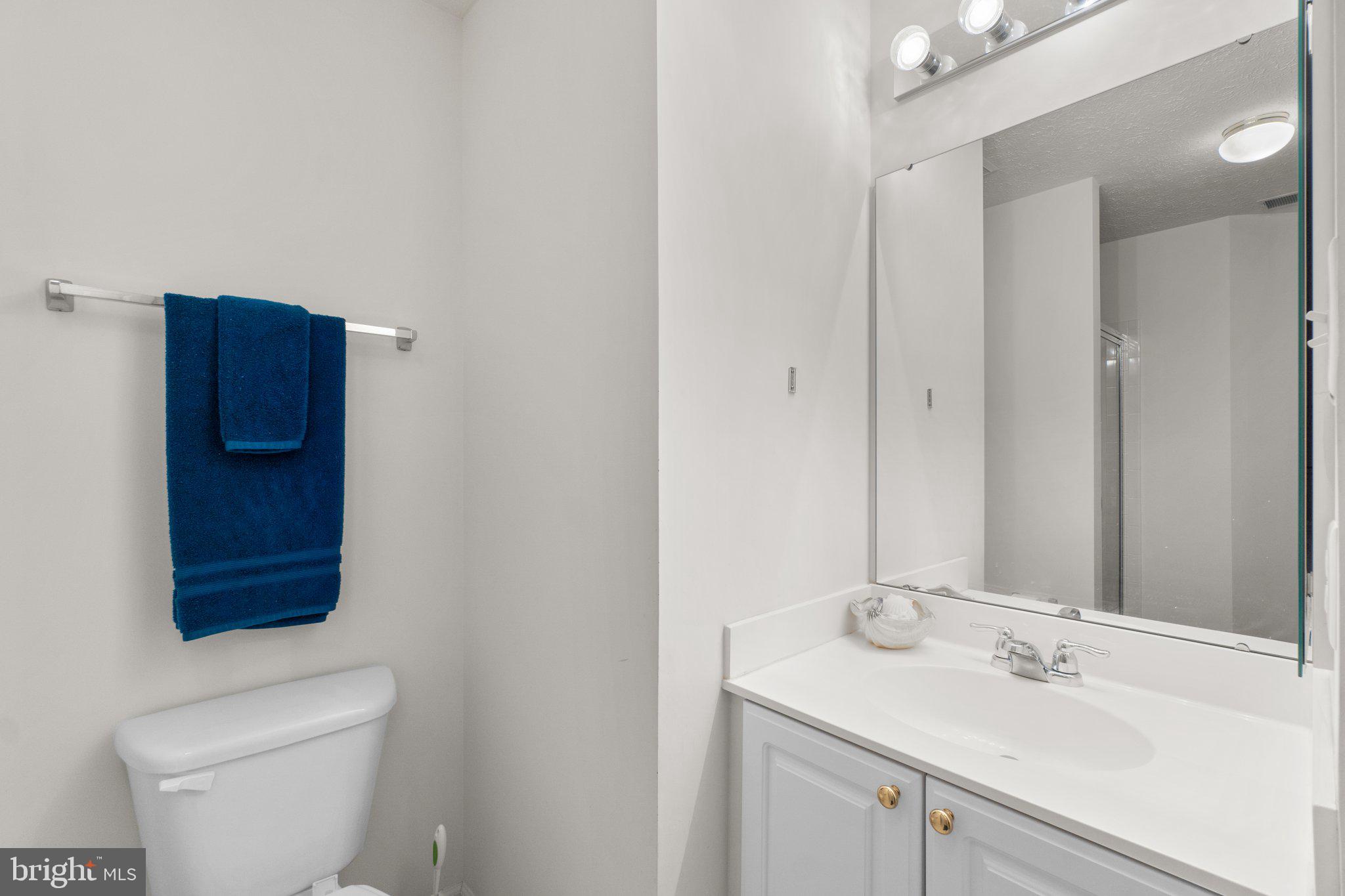 4731 Shellbark Road, Unit 4731 Owings Mills, MD 21117 - Photo 27 of 34