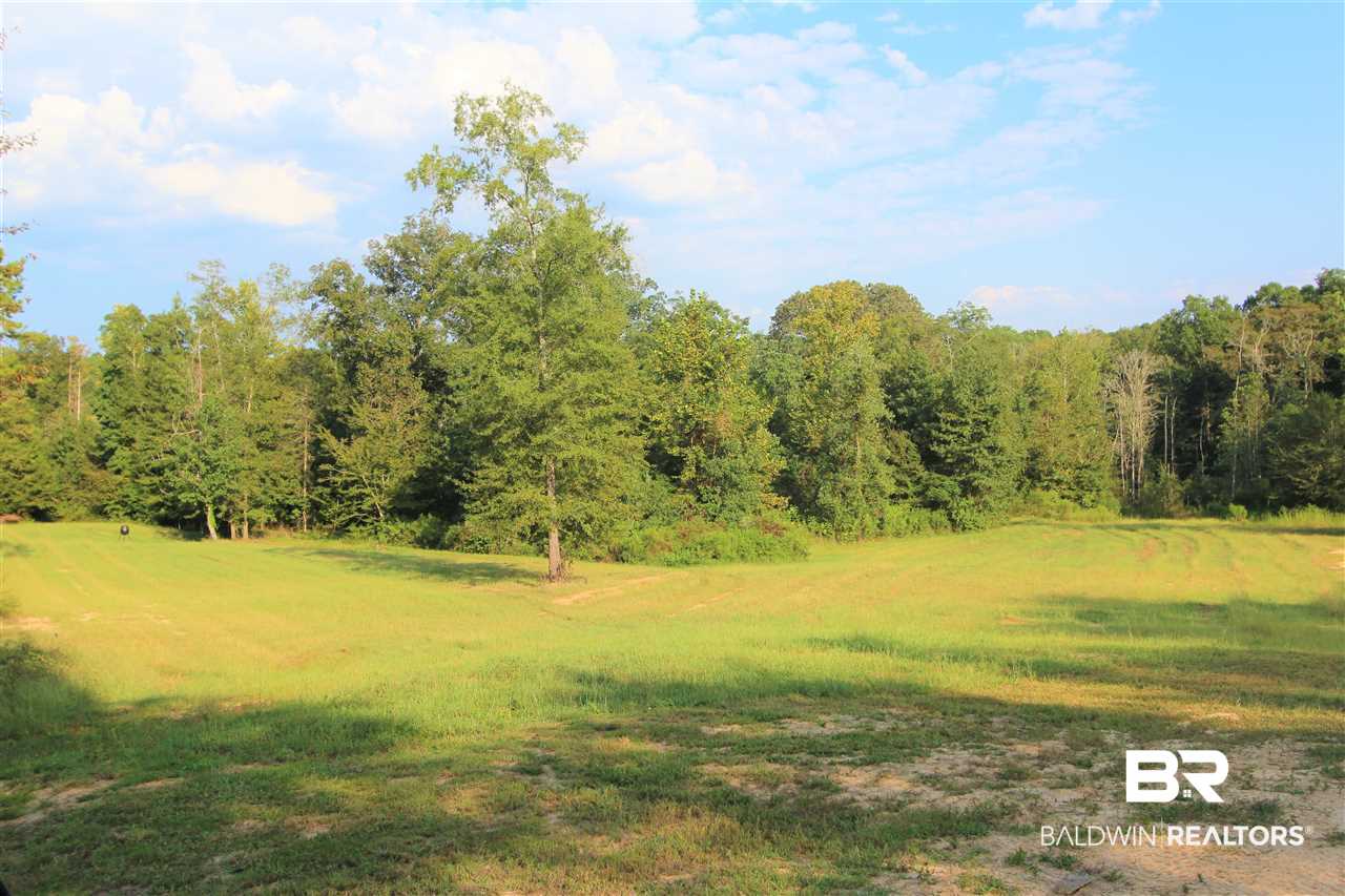 794 Dry Lake Road Luverne, AL 36049 - Photo 12 of 48 Food Plot