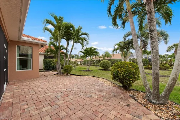 a view of a backyard with potted plants and palm trees