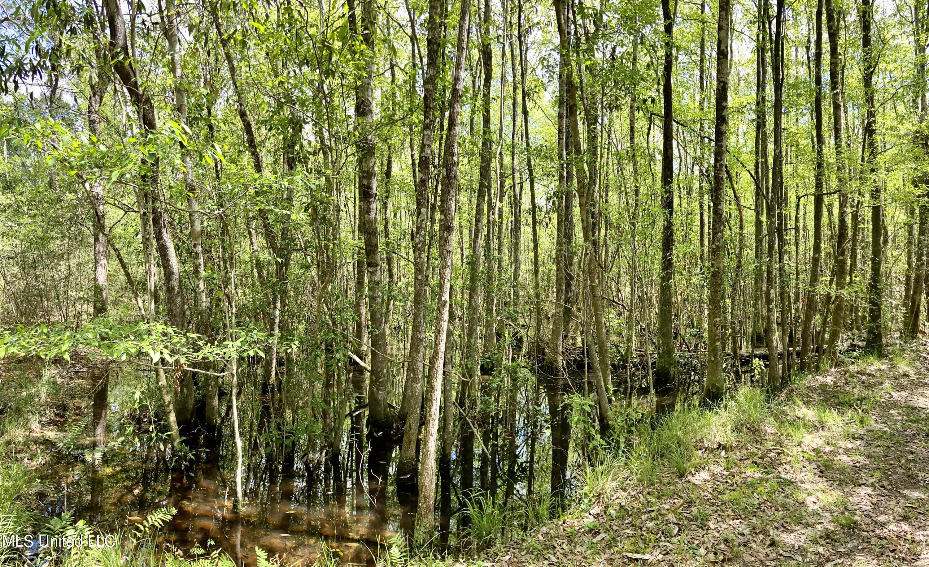 1 Basin Refuge Road Lucedale, MS 39452 - Photo 6 of 9 IMG_4552