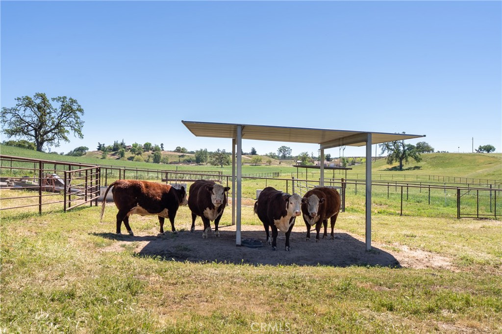 5385-5375 Camp 8 Road Paso Robles, CA 93446 - Photo 58 of 75