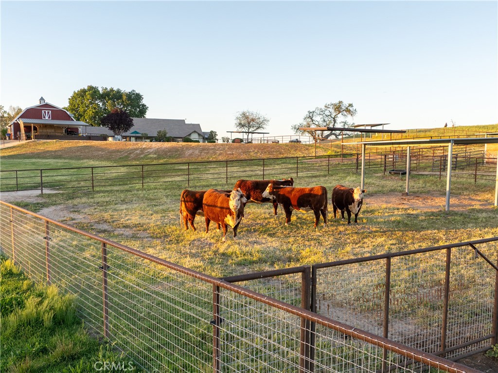 5385-5375 Camp 8 Road Paso Robles, CA 93446 - Photo 66 of 75