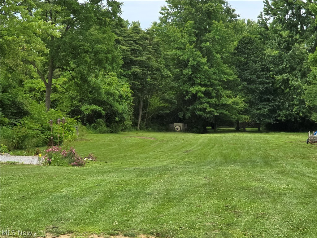 4627 North Ridge Road East Geneva, OH 44041 - Photo 19 of 19 3.75 acres. View of back yard.