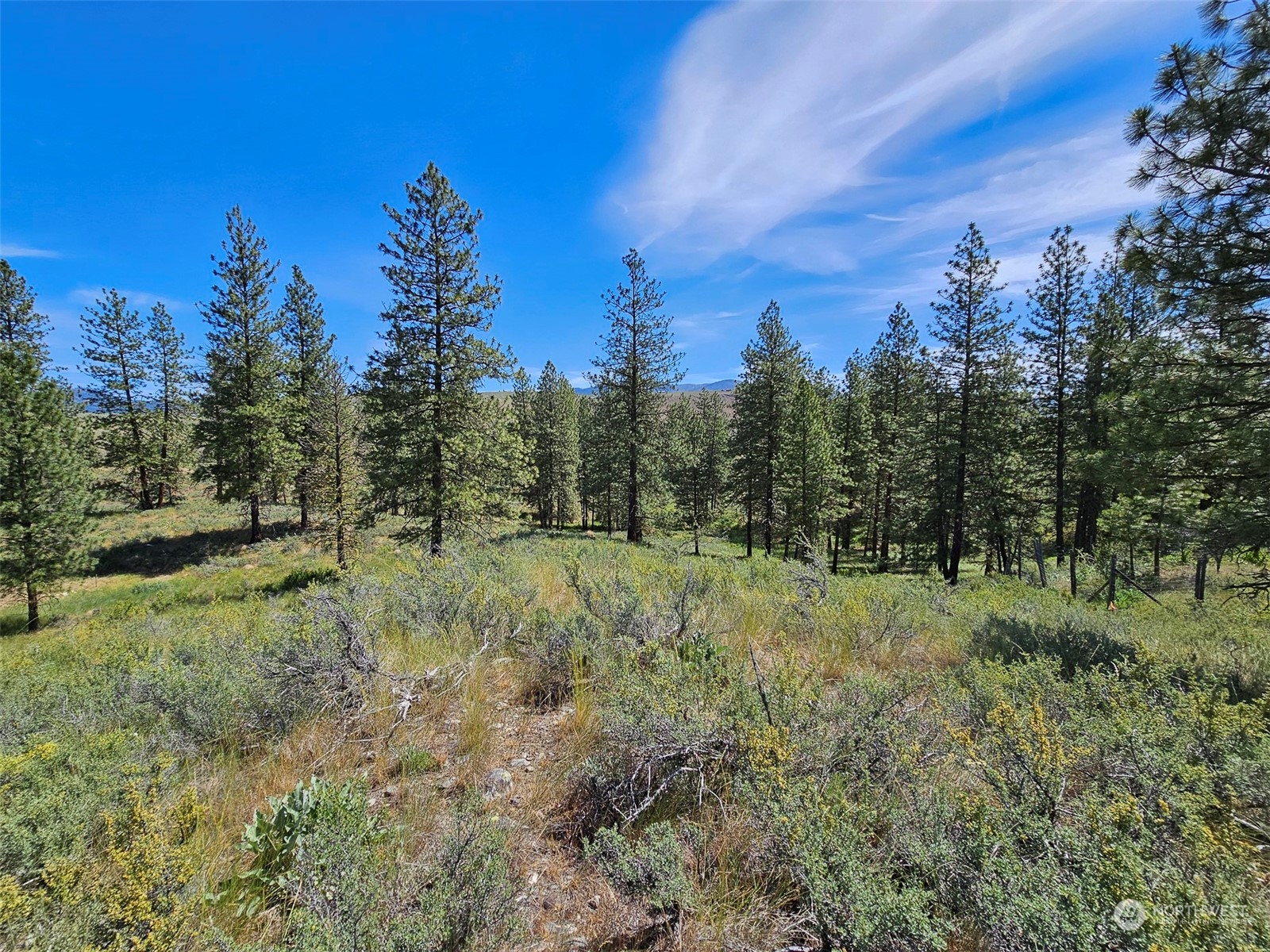 1 Horizon Flats Road Winthrop, WA 98862 - Photo 2 of 18 Gallery Image 2