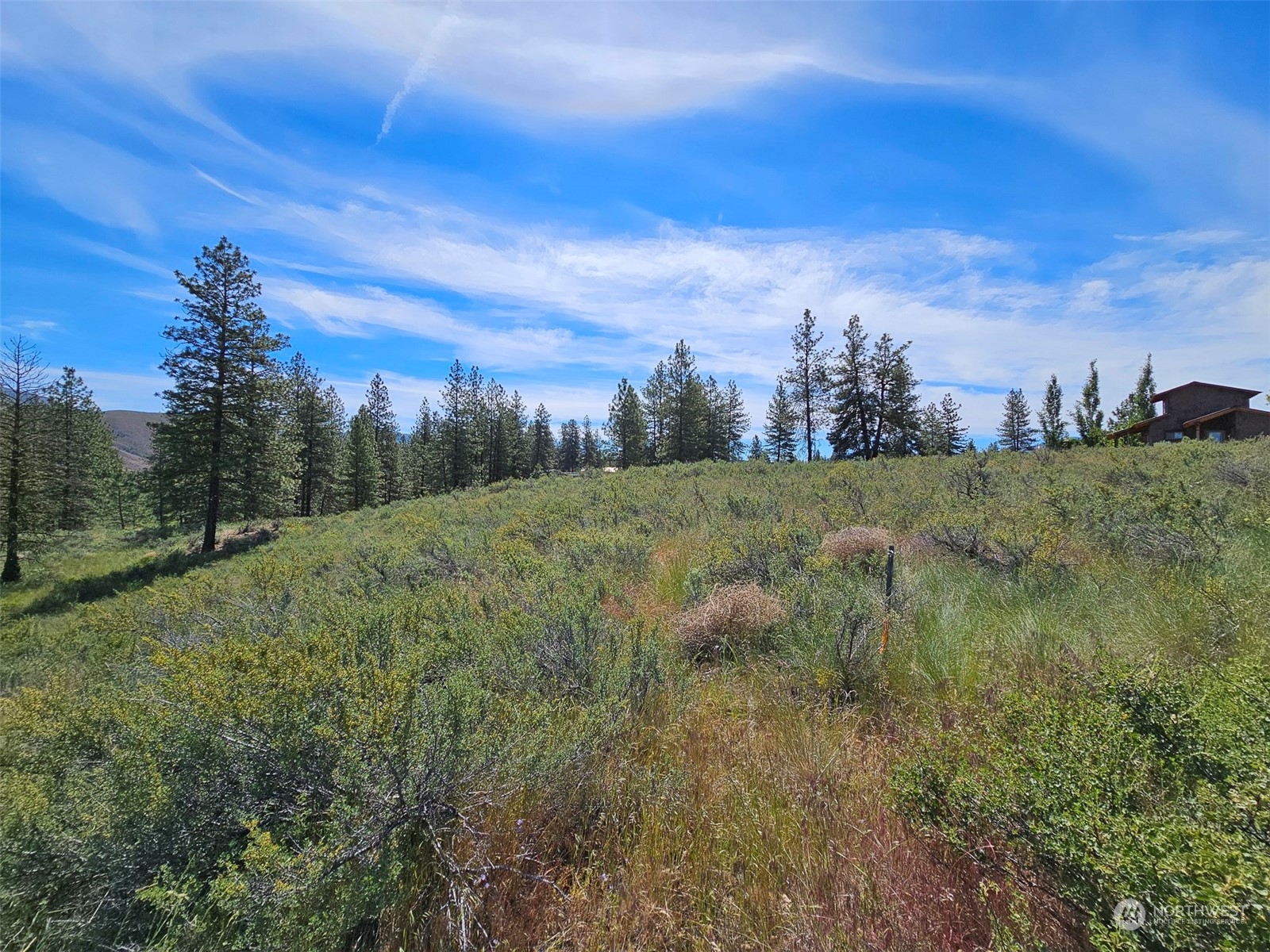 1 Horizon Flats Road Winthrop, WA 98862 - Photo 4 of 18 Gallery Image 4