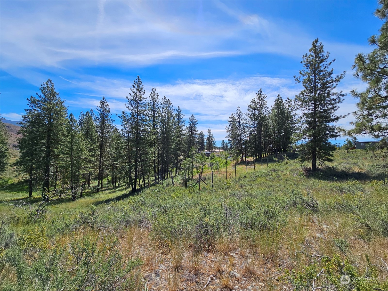 1 Horizon Flats Road Winthrop, WA 98862 - Photo 5 of 18 Gallery Image 5
