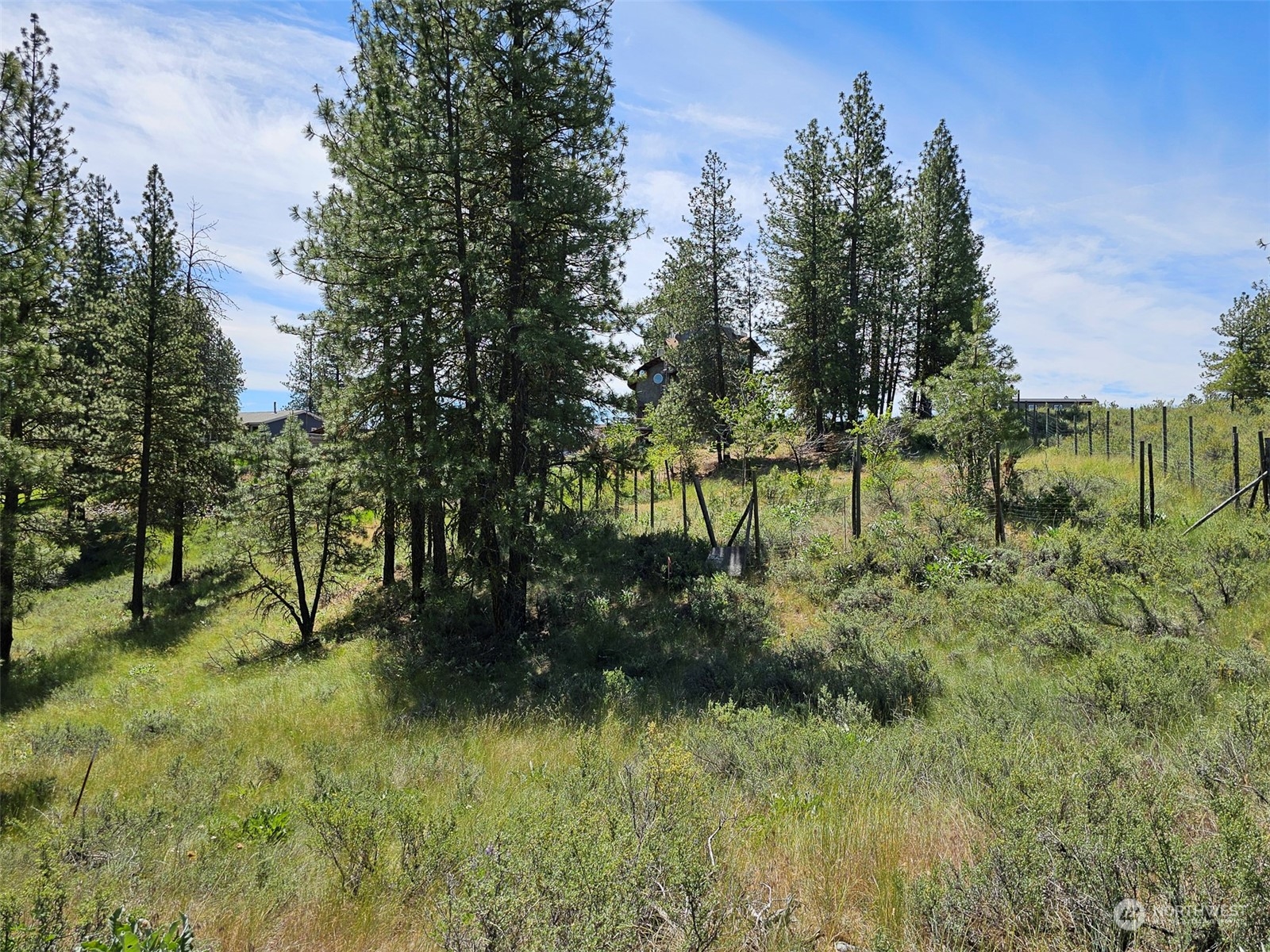 1 Horizon Flats Road Winthrop, WA 98862 - Photo 7 of 18 Gallery Image 7